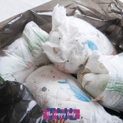 Revised Cloth Nappy Lifecycle Report 2008