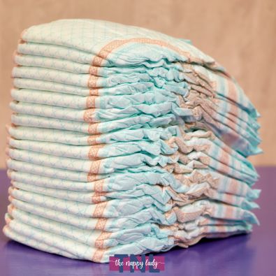https://www.thenappylady.co.uk/user/news/Advantages%20of%20Disposable%20Nappies%20-%20the%20nappy%20lady.jpg
