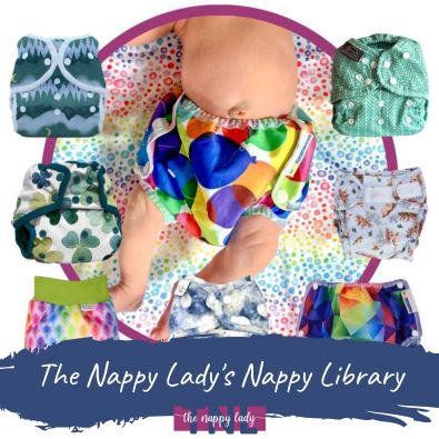 the nappy lady's nappy library