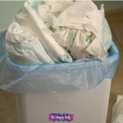 Reuse? Compost? Dump? Solving the eco-conundrum of nappies