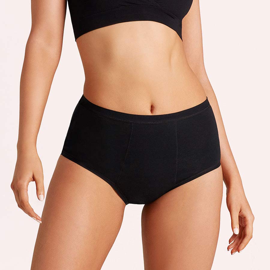 https://www.thenappylady.co.uk/user/products/love-luna-full-brief-back-the-nappy-period-lady(1).jpg