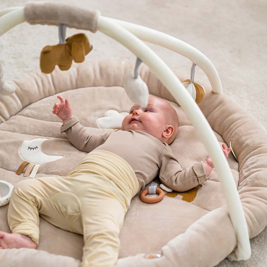 Nattou Baby Playmats