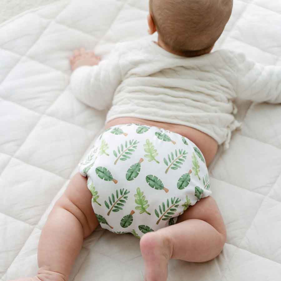 Thrive Poplar Onesize Pocket Nappies