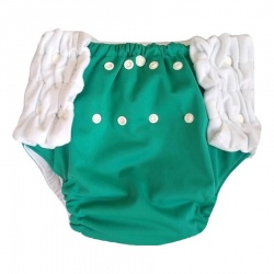 Baby Beehinds Pull Up Nappy / Training Pants - The Nappy Lady