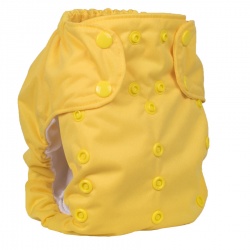 Smart Bottoms Dream Diaper 2.0